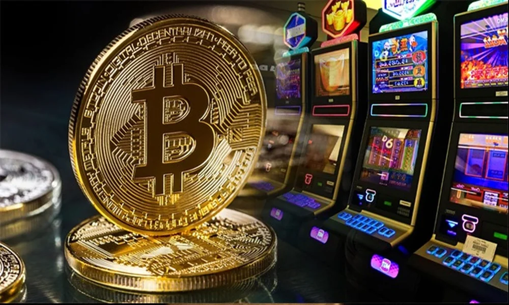 Wager logs store bet activity across bitcoin bonus roulette